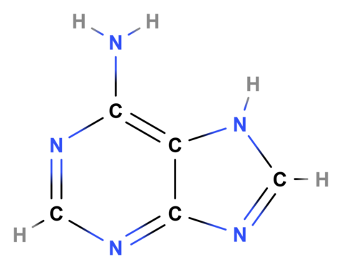 Adenin, Strukturformel 