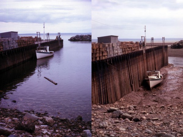 Vergleich von Ebbe und Flut in der Bay of Fundy 