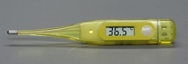 Digitales Fieberthermometer 
