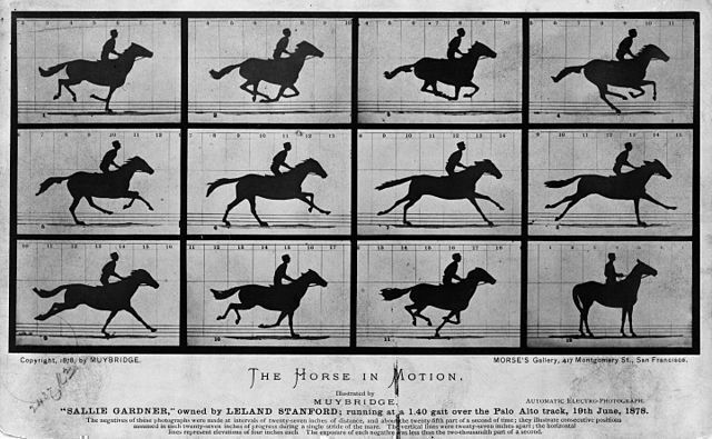 Bewegungsstudie eines galoppierenden Pferdes (1878) 
