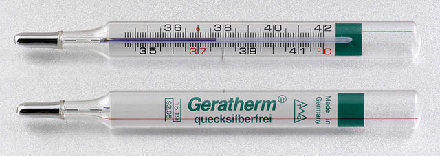 Galinstan Fieberthermometer 