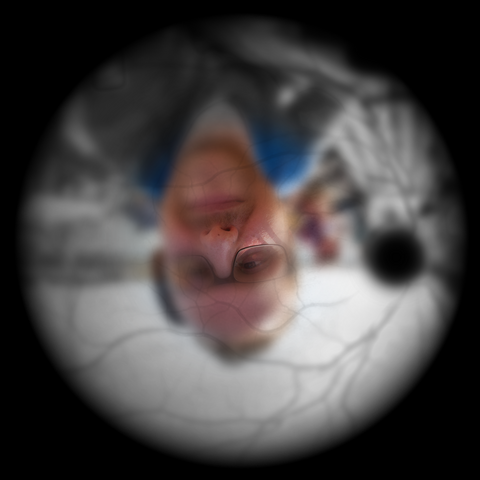 Auf der Retina empfangenes Bild 