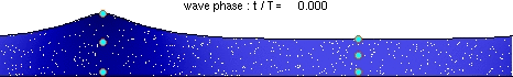 Flachwasserwelle 