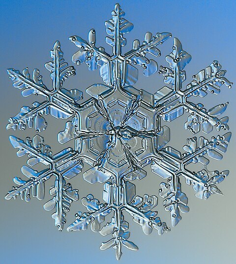 Ausgeprägte Symmetrie und Selbstähnlichkeit bei einer Schneeflocke 