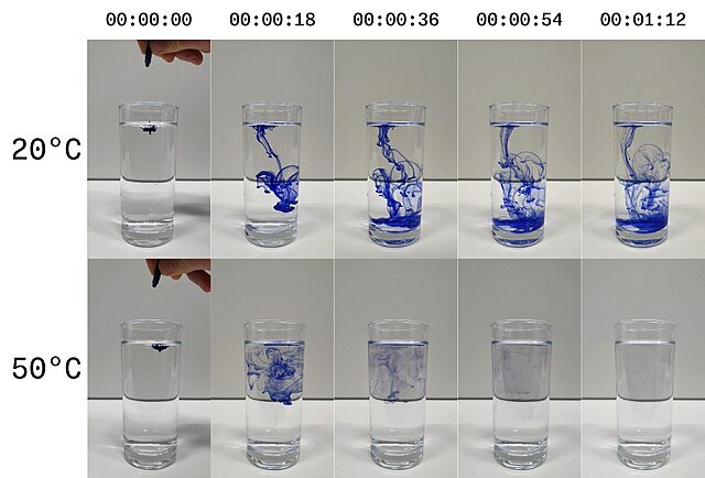 Vergleich von Diffusion von blauer Tinte in Wasser bei unterschiedlichen Temperaturen 