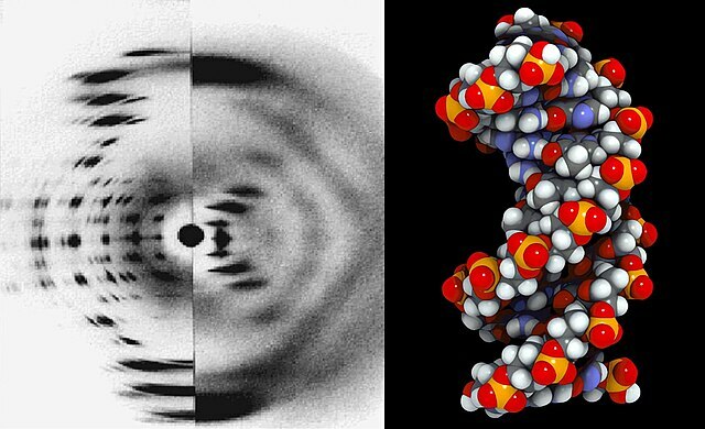 Interferenzbild (links) und DNA Molekül-Strang (rechts) 